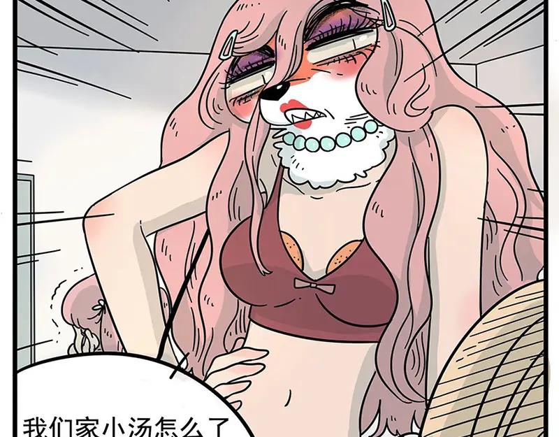 废柴狐阿桔 - 第17话 - 第14张图