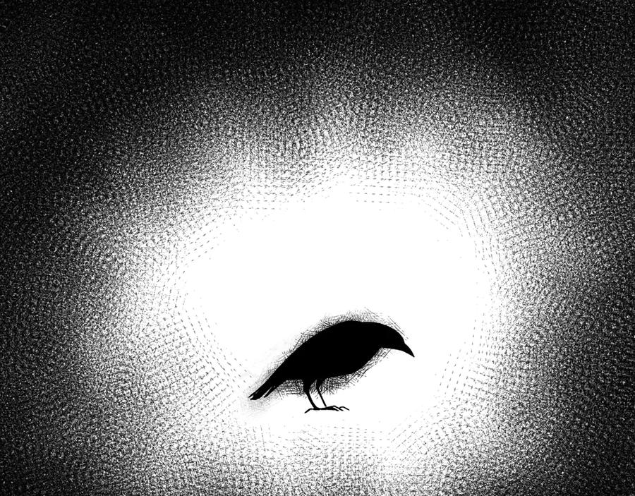 废柴狐阿桔 - 兽人医院24 - 第26张图