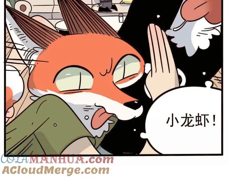 废柴狐阿桔 - 第19话 - 第9张图