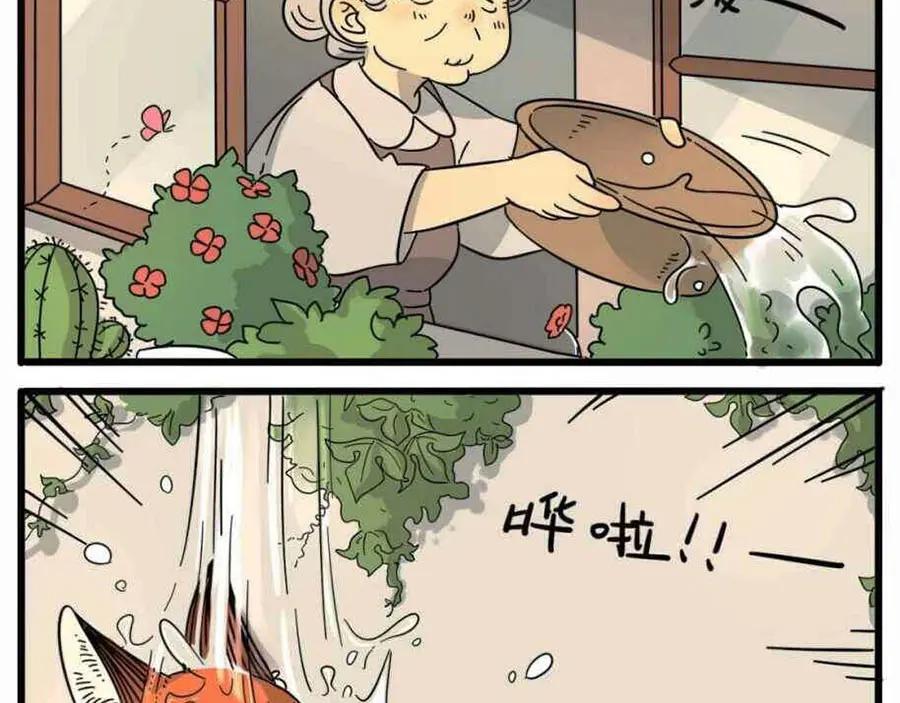 废柴狐阿桔 - 第20话 - 第11张图