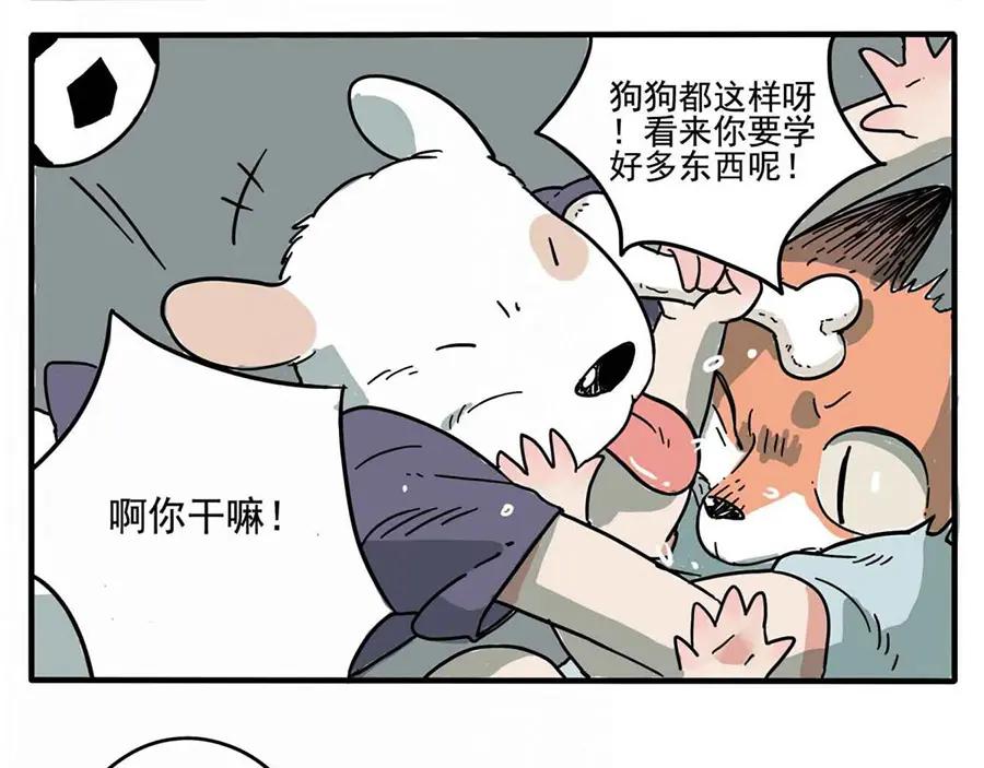 废柴狐阿桔 - 第1-5话 - 第20张图