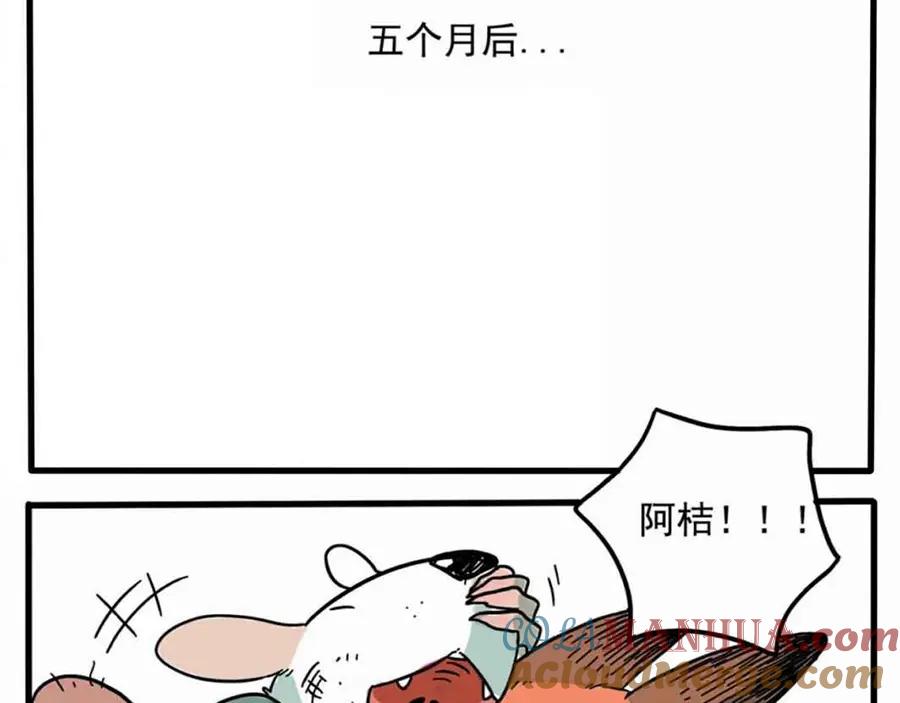 废柴狐阿桔 - 第1-5话 - 第25张图