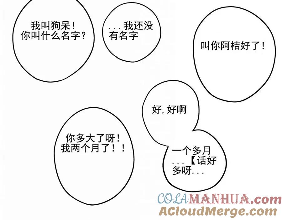 废柴狐阿桔 - 第1-5话 - 第21张图