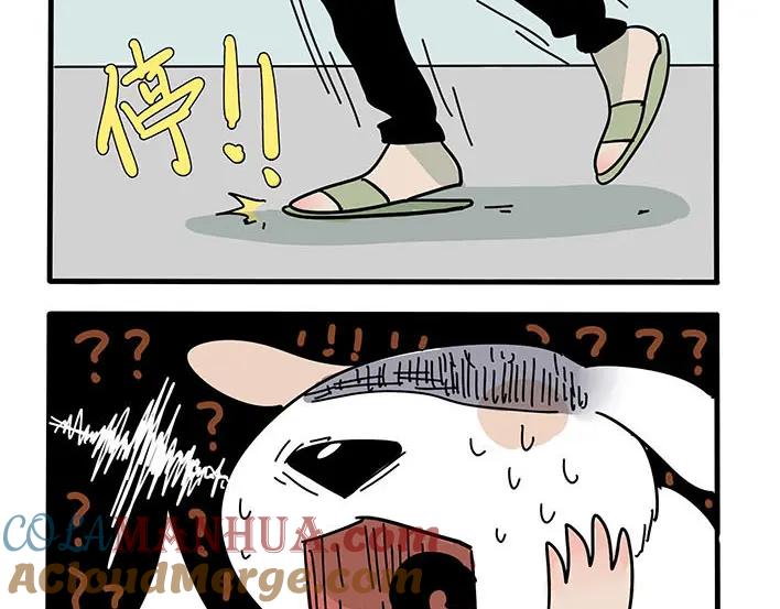 废柴狐阿桔 - 第1-5话 - 第117张图