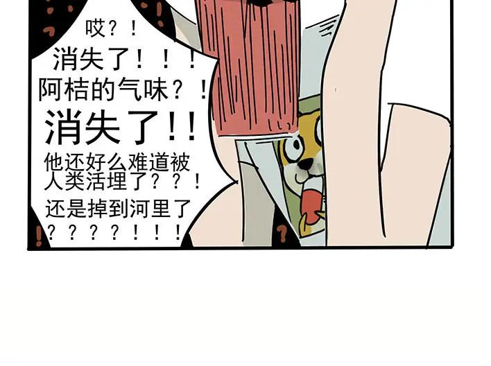 废柴狐阿桔 - 第1-5话 - 第118张图