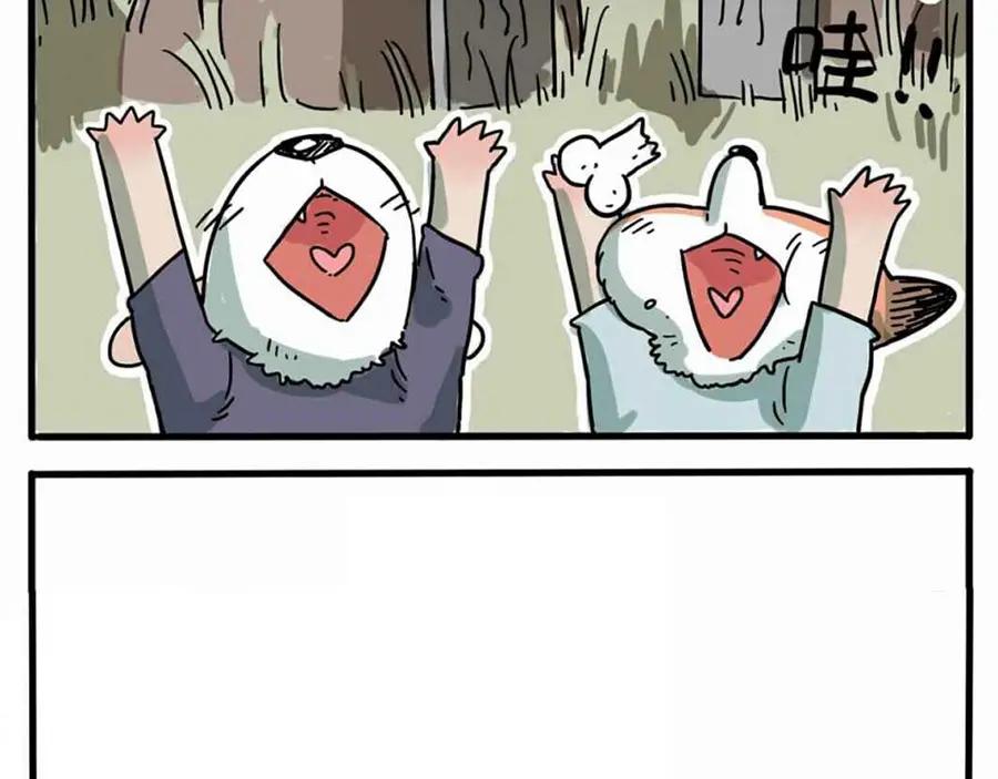 废柴狐阿桔 - 第1-5话 - 第24张图