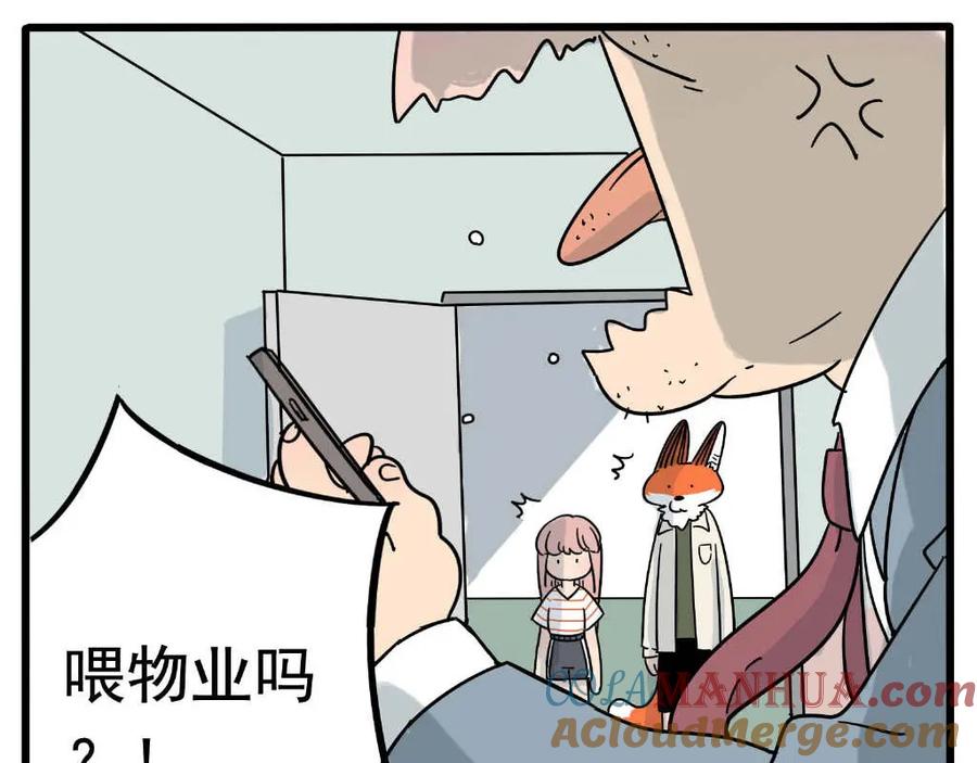 废柴狐阿桔 - 第21话 - 第13张图