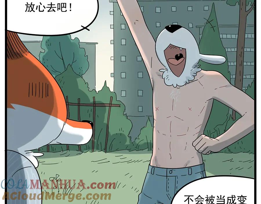 废柴狐阿桔 - 第24话 - 第40张图