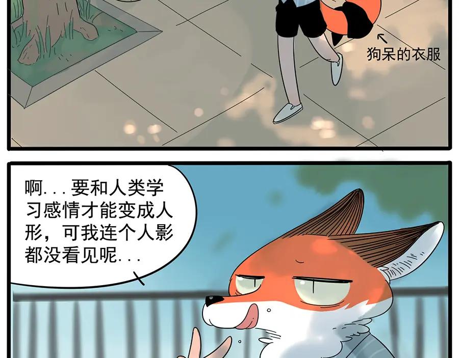 废柴狐阿桔 - 第25话 - 第8张图