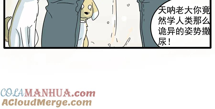 废柴狐阿桔 - 第27话 - 第27张图