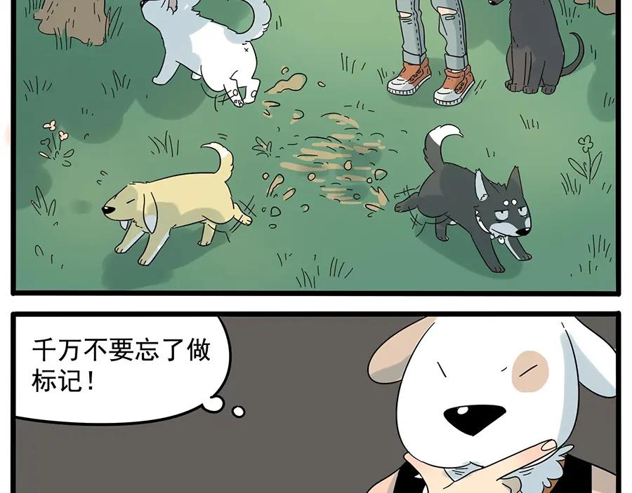 废柴狐阿桔 - 第27话 - 第25张图