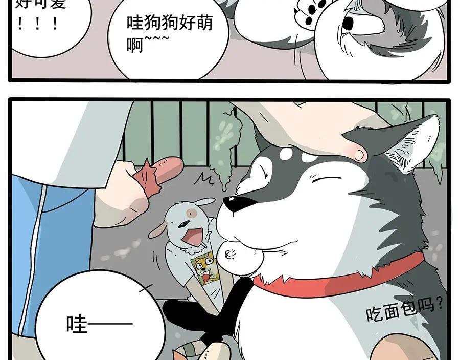 废柴狐阿桔 - 第6话 - 第14张图