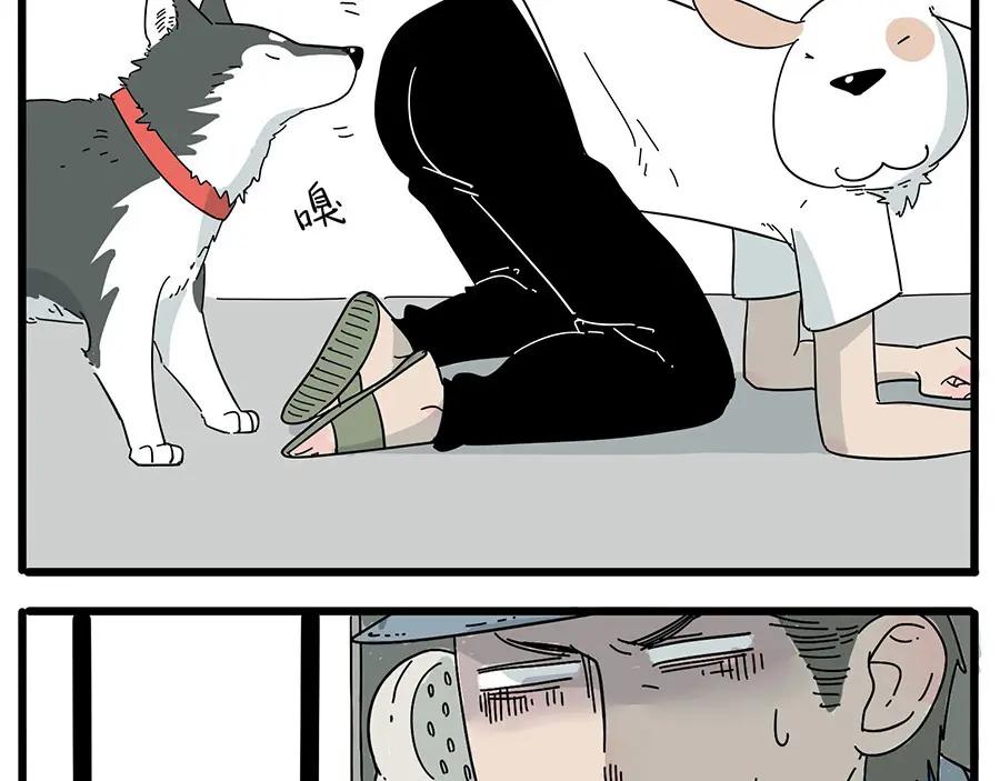 废柴狐阿桔 - 第6话 - 第8张图