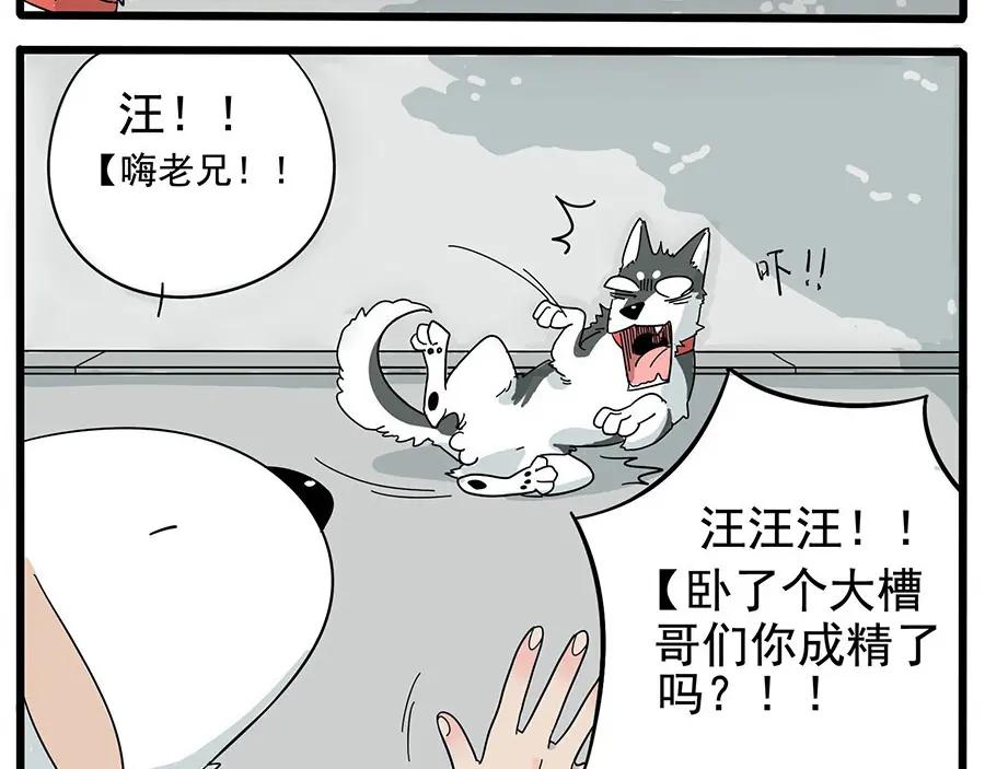 废柴狐阿桔 - 第6话 - 第4张图