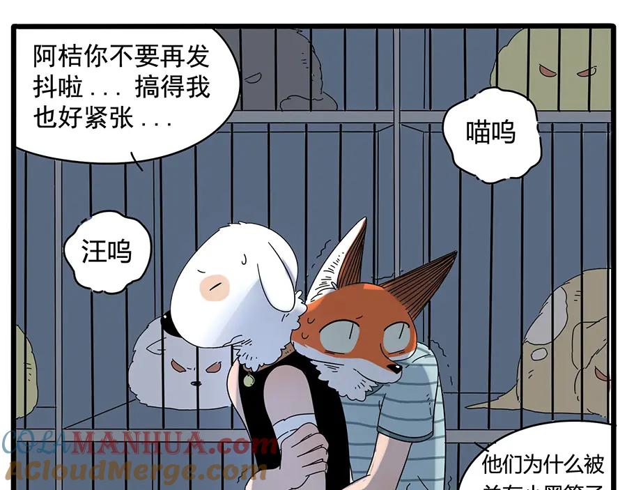 废柴狐阿桔 - 第32话（上） - 第29张图