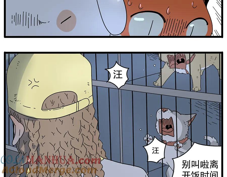 废柴狐阿桔 - 第32话（上） - 第31张图