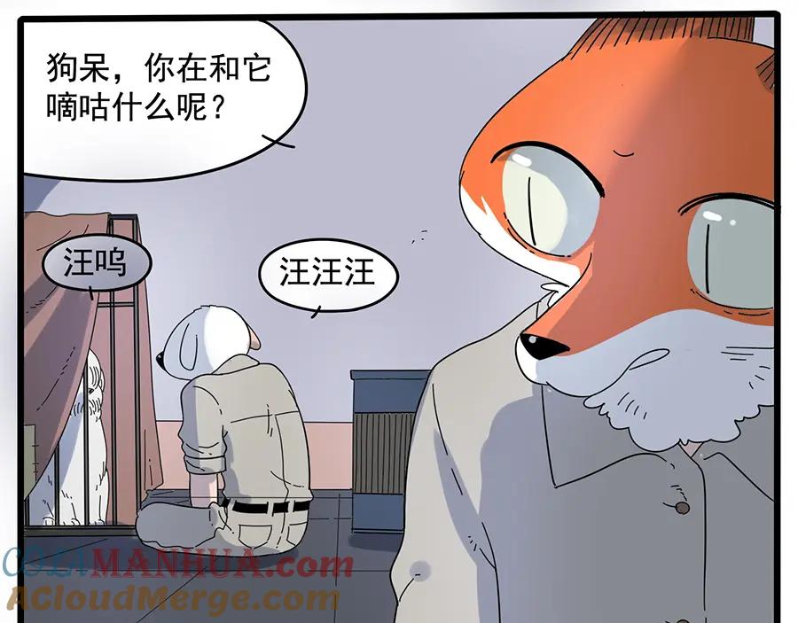 废柴狐阿桔 - 第32话（下） - 第10张图