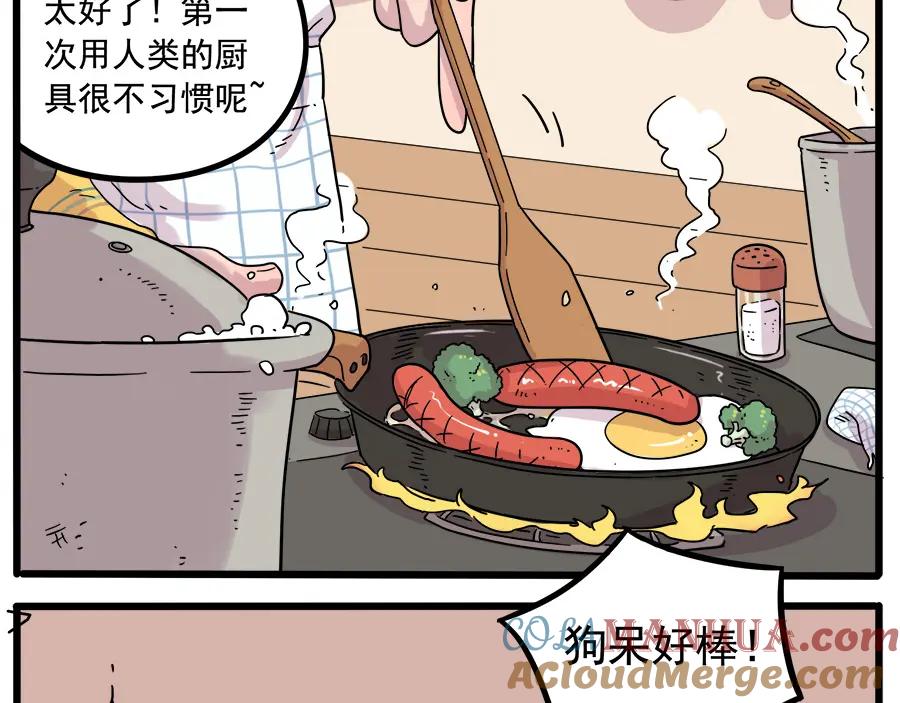 废柴狐阿桔 - 第38话（上） - 第4张图