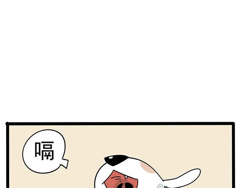 废柴狐阿桔 - 番外 - 第12张图