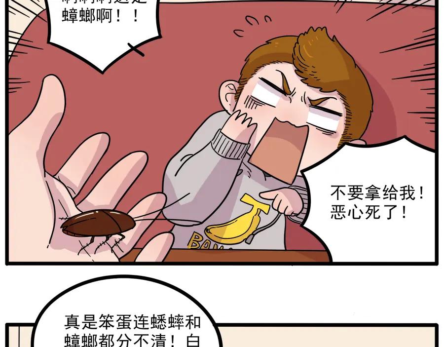 废柴狐阿桔 - 第42话（上） - 第11张图