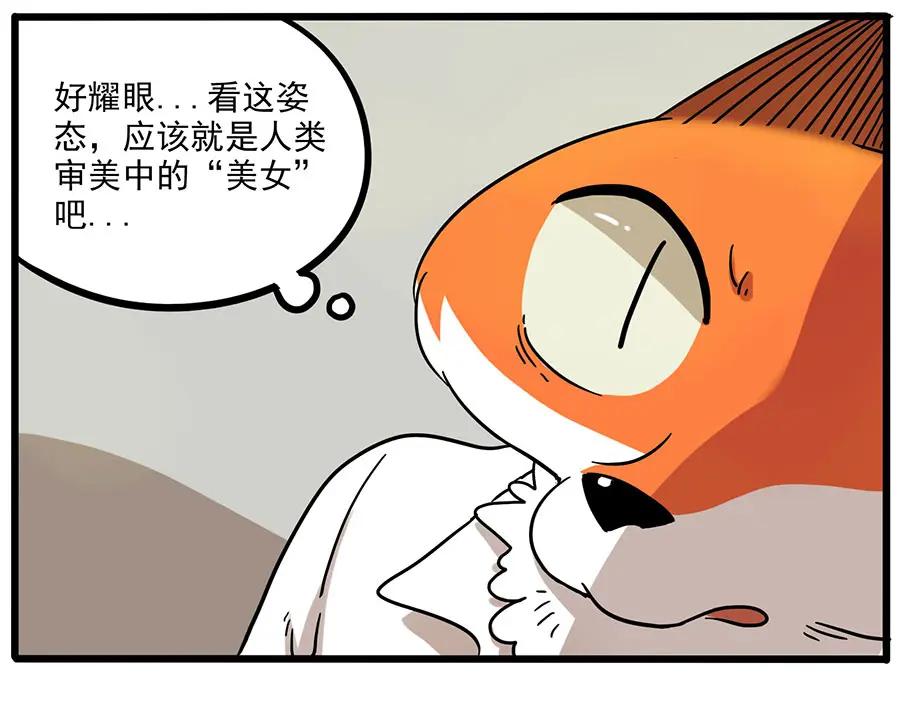 废柴狐阿桔 - 第46话 - 第29张图