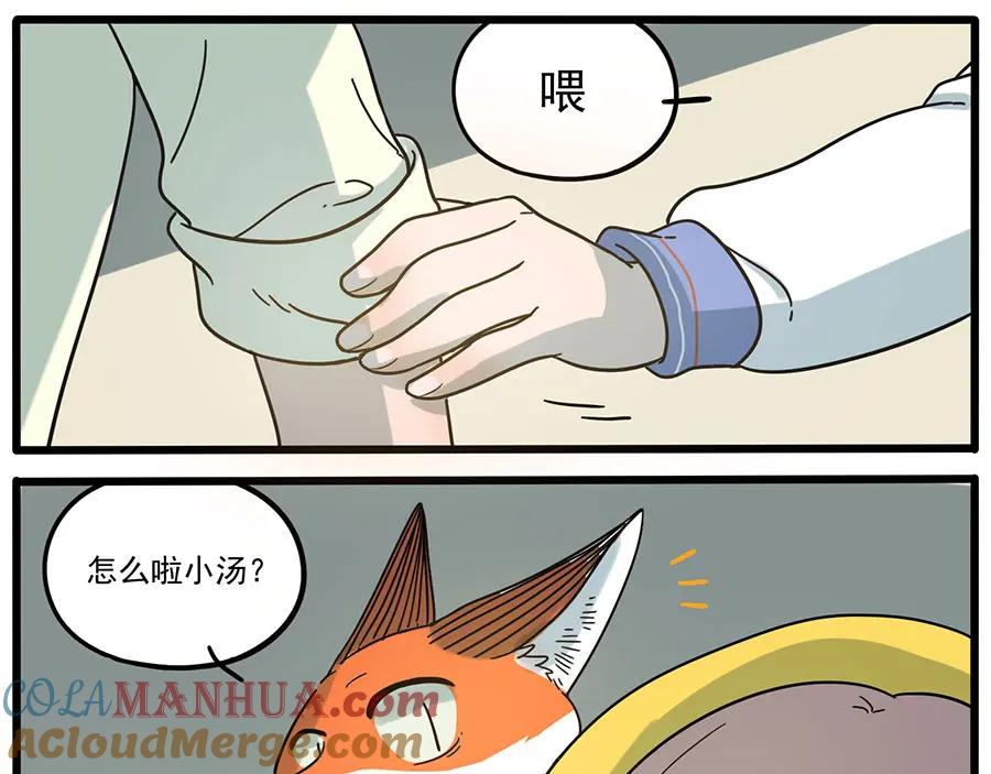 废柴狐阿桔 - 第48话（下） - 第13张图