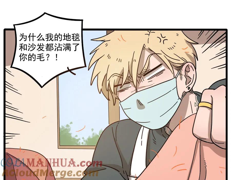 废柴狐阿桔 - 第54话 - 第28张图