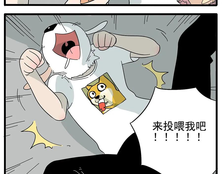 废柴狐阿桔 - 第10话 - 第14张图