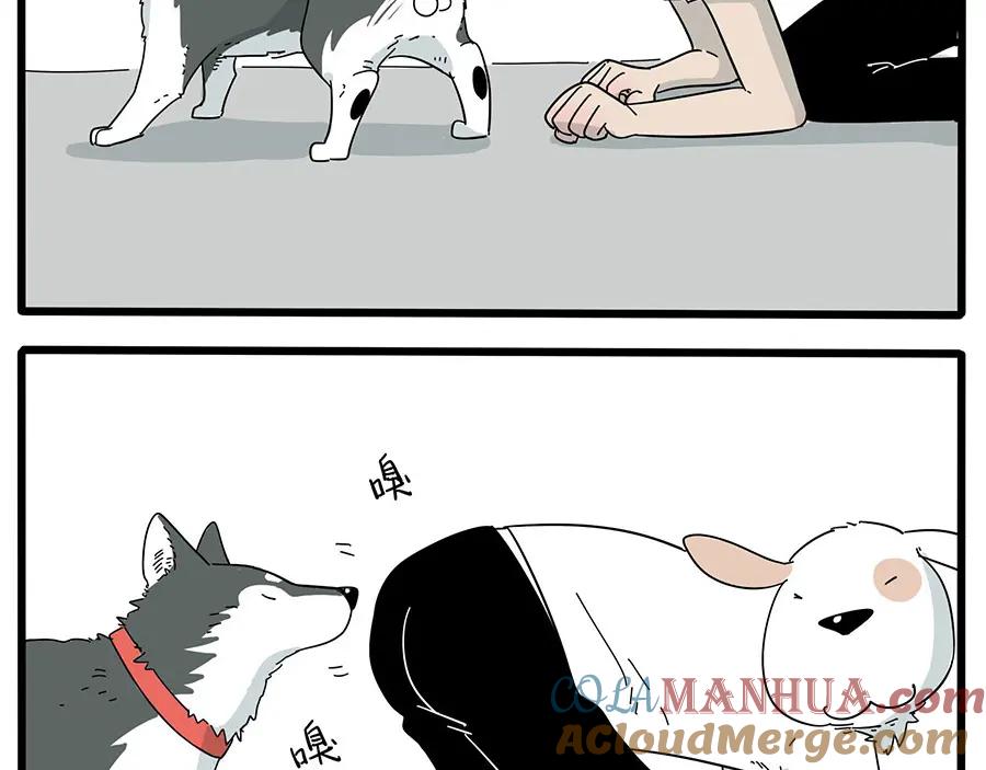 废柴狐阿桔 - 第10话 - 第7张图