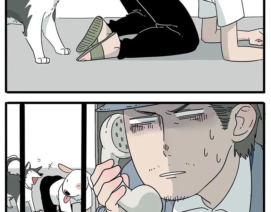 废柴狐阿桔 - 第10话 - 第8张图