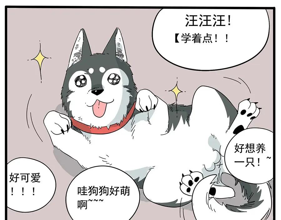 废柴狐阿桔 - 第10话 - 第12张图