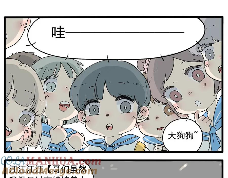 废柴狐阿桔 - 第10话 - 第10张图