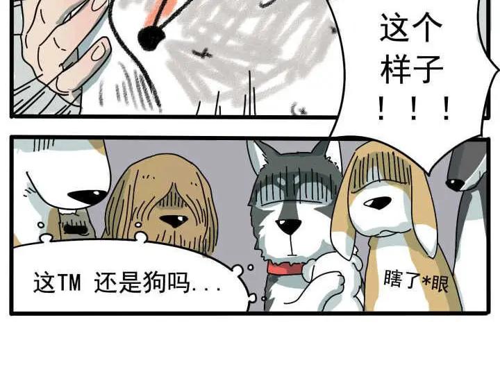 废柴狐阿桔 - 第10话 - 第38张图