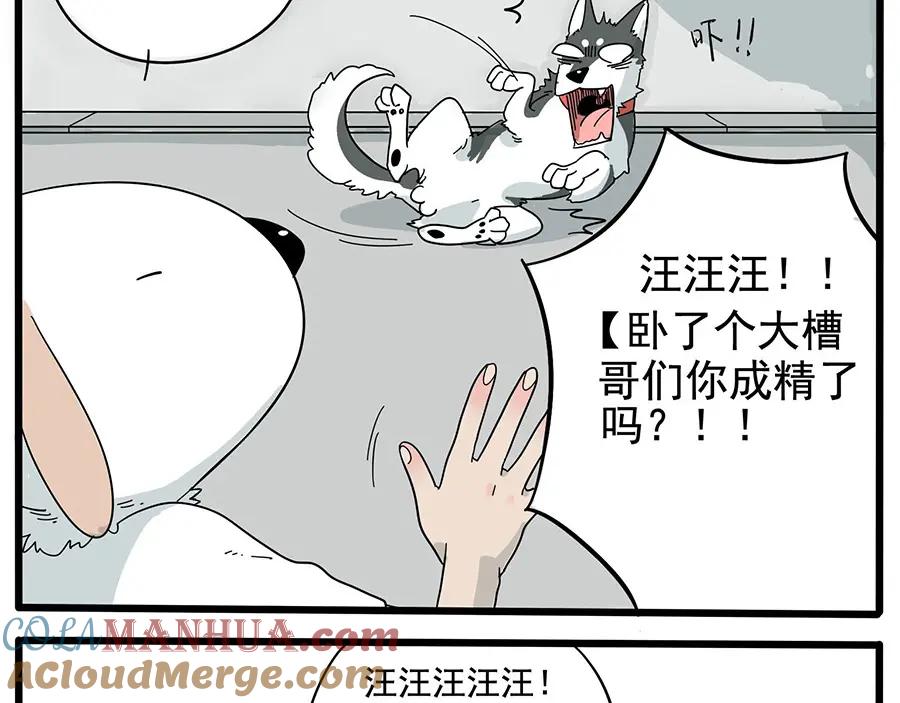 废柴狐阿桔 - 第10话 - 第4张图