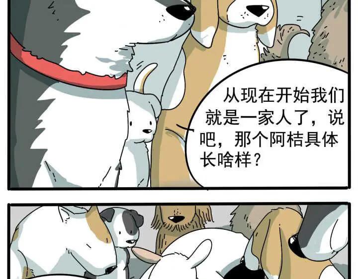 废柴狐阿桔 - 第10话 - 第36张图