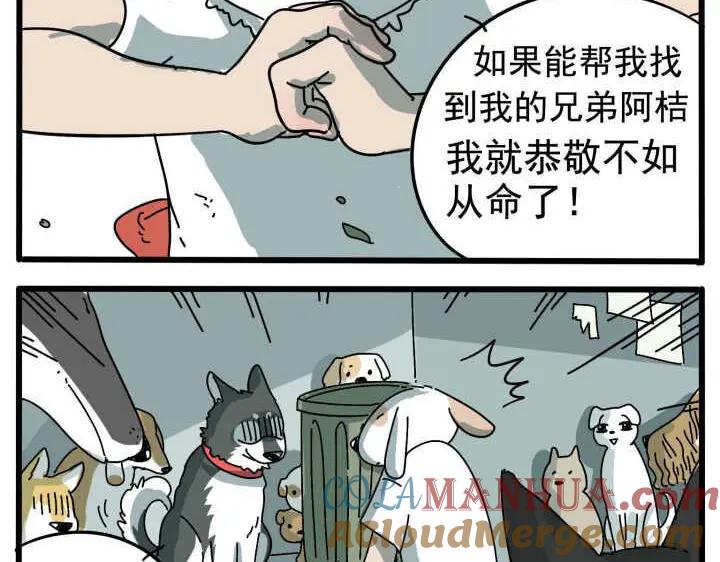 废柴狐阿桔 - 第10话 - 第34张图