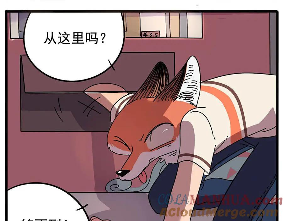 废柴狐阿桔 - 第11话 - 第7张图