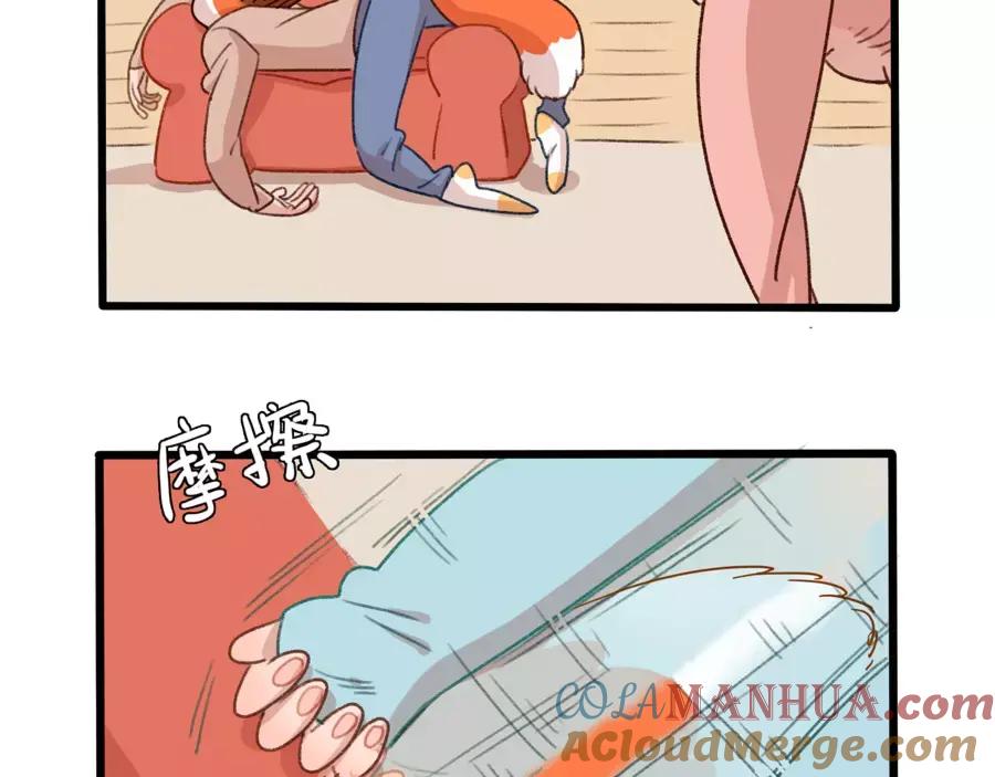 废柴狐阿桔 - 第77话 - 第64张图