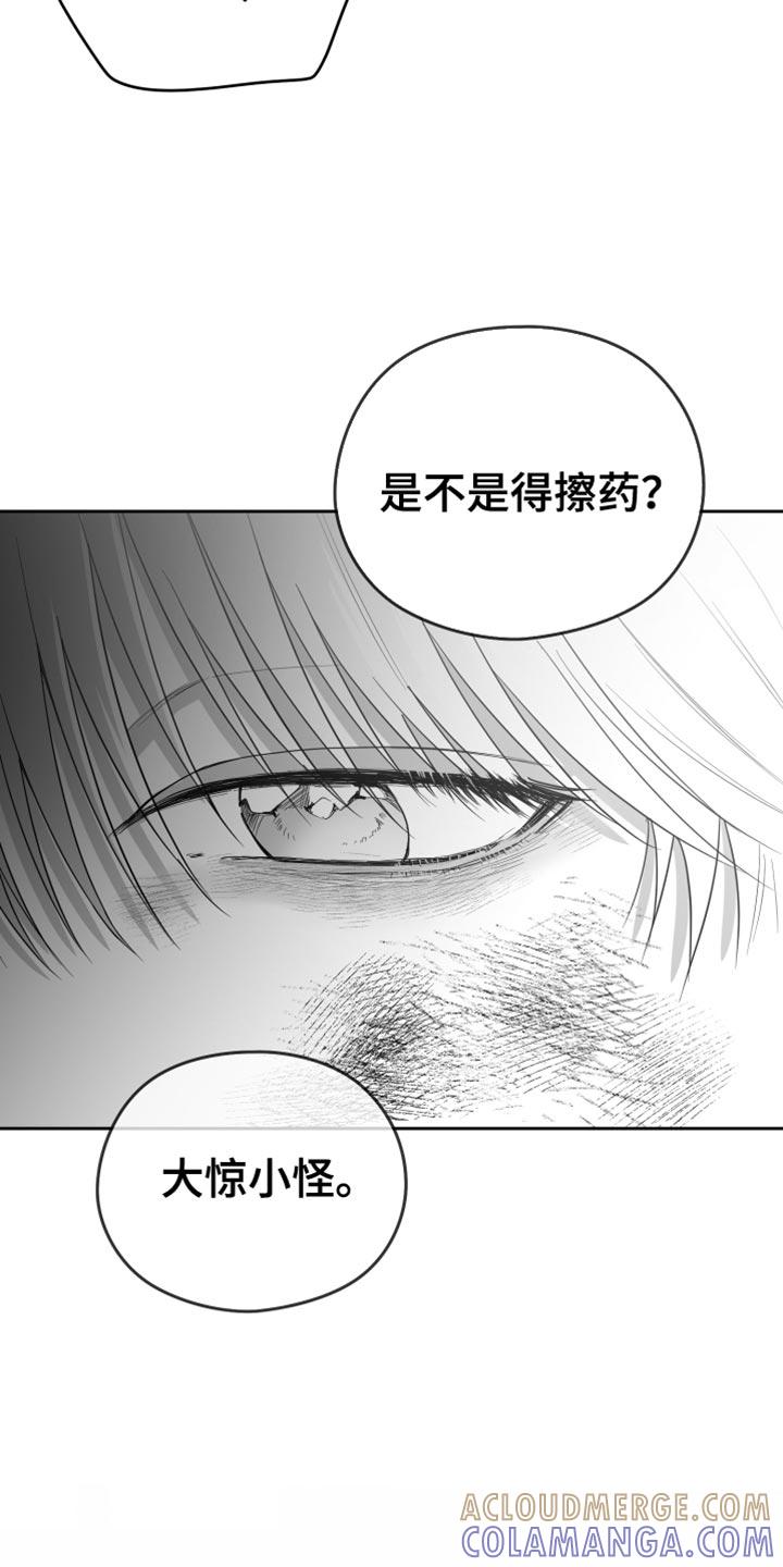 《狂乱欺压》第21章：太可惜了 第11页