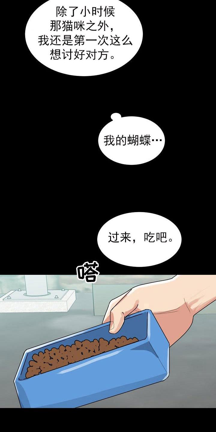 《虎的孩子》第26章：期待 第6页