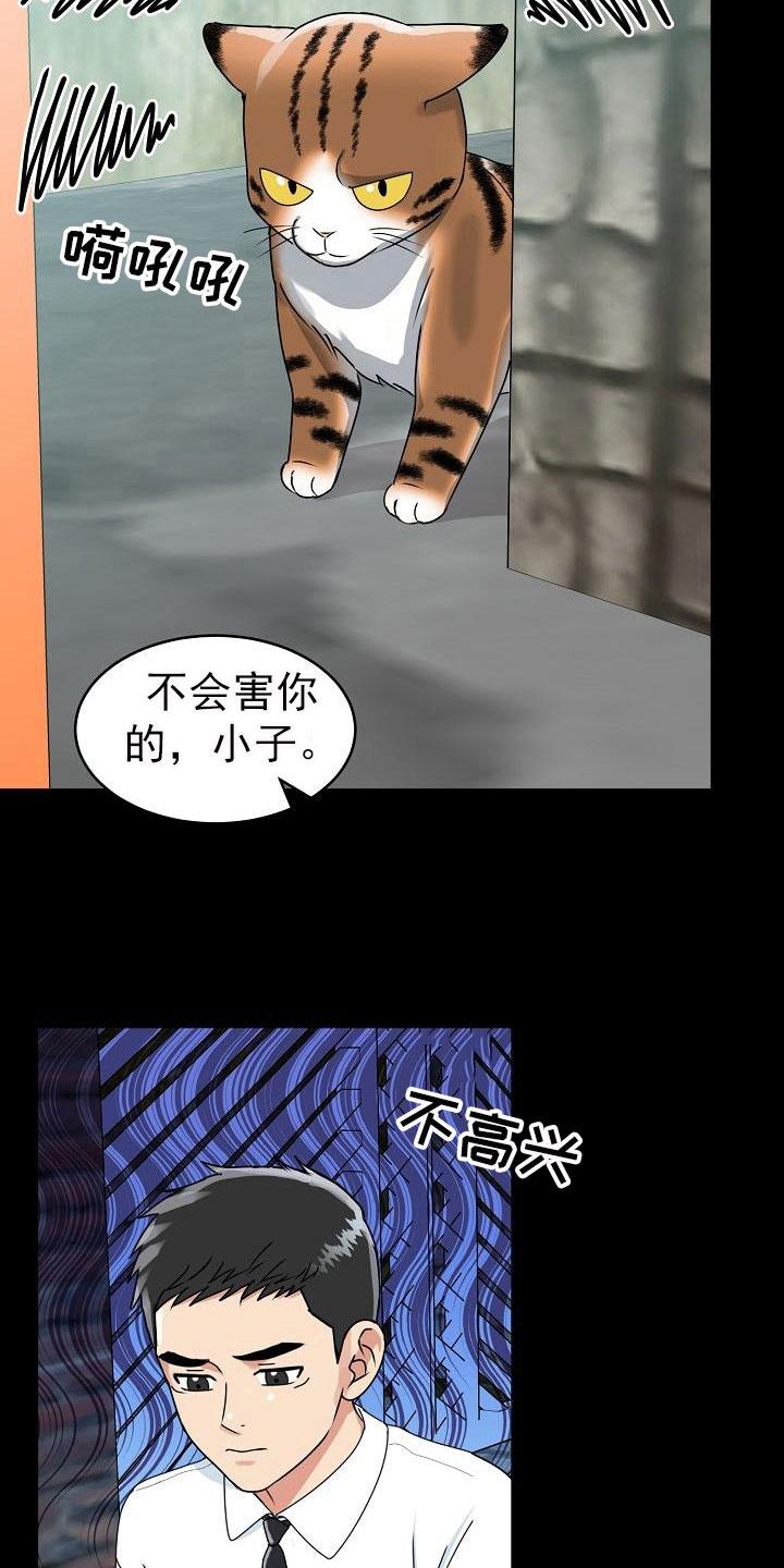 《虎的孩子》第26章：期待 第8页