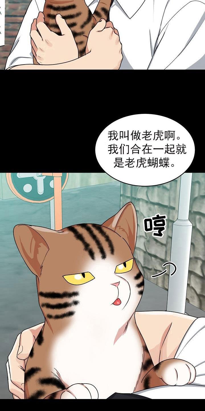 《虎的孩子》第26章：期待 第12页