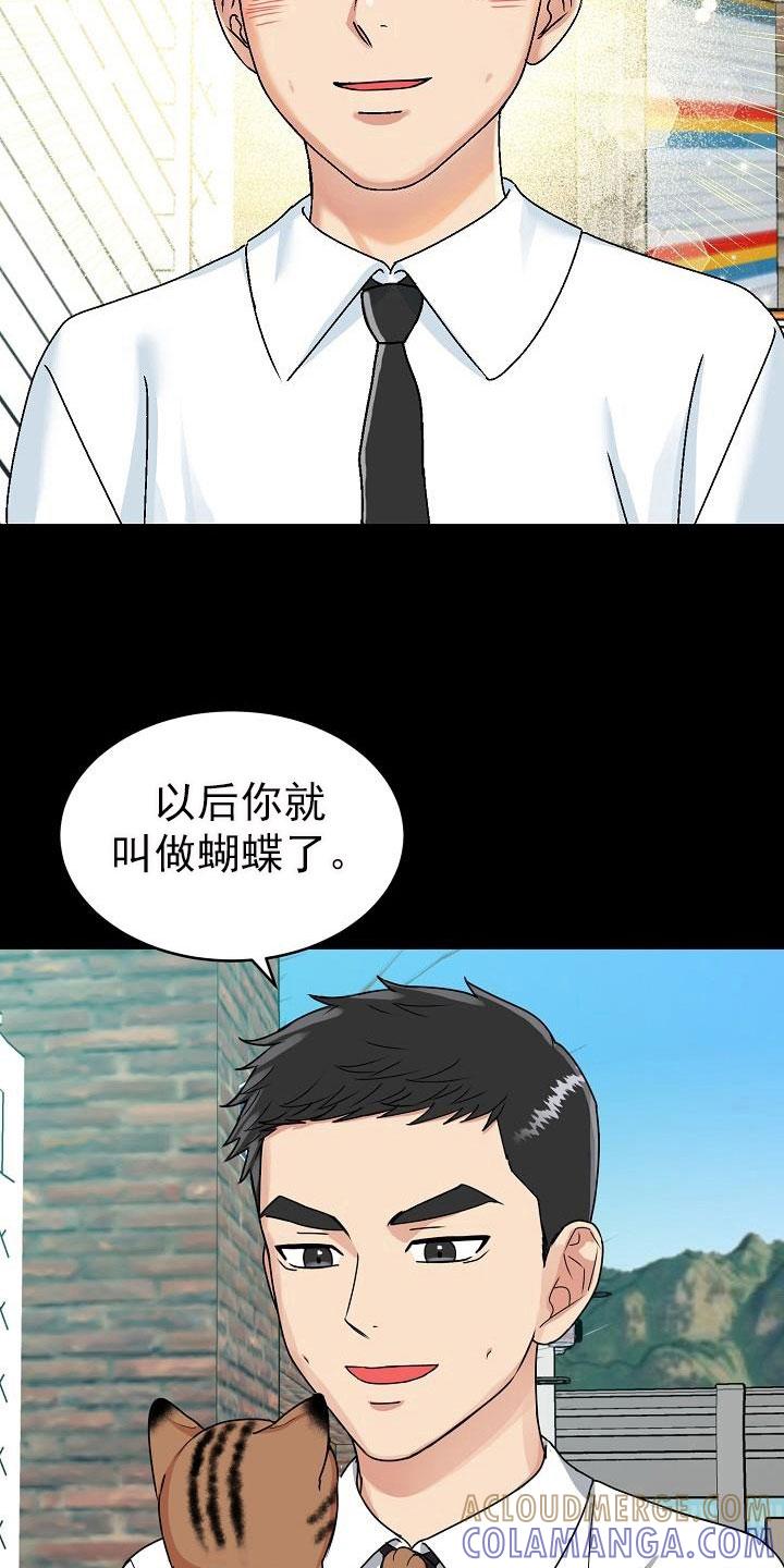 《虎的孩子》第26章：期待 第11页