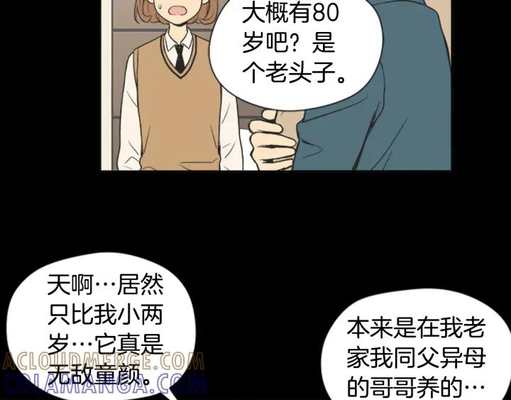 《不能恋爱的房间》第61话 土豪养猫法 第61页