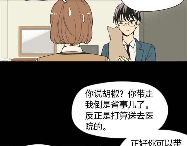 《不能恋爱的房间》第61话 土豪养猫法 第62页