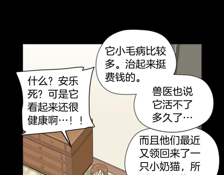 《不能恋爱的房间》第61话 土豪养猫法 第65页
