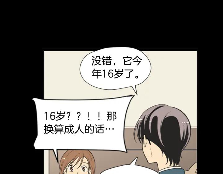 《不能恋爱的房间》第61话 土豪养猫法 第60页