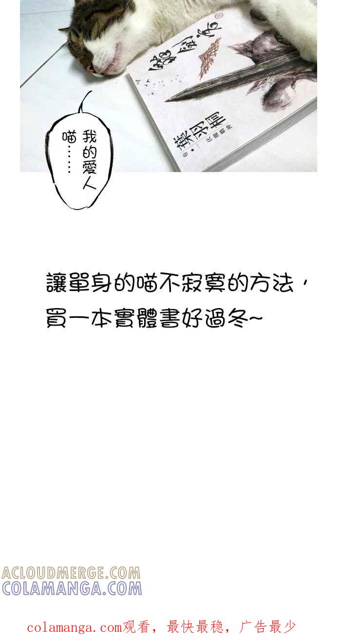 猫剑客 [第78话] 折翼天使 贰拾壹，岁月之殇 第41页