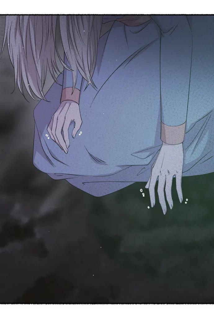 废皇子的神祕爱人 第145话 隐藏的事情（19） 第43页