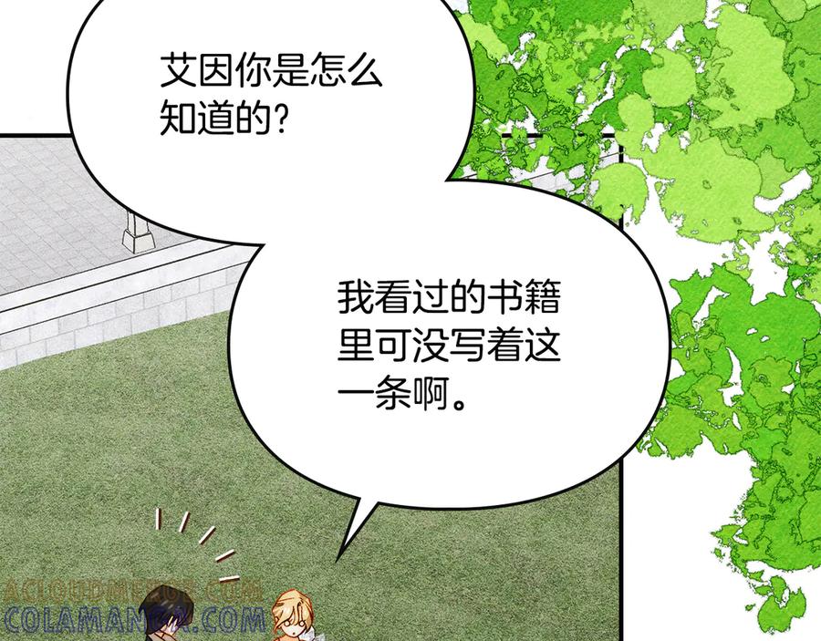 《驯养满级怪物》第29话 神秘大祭司 第33页